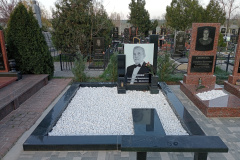 IMG20250410070221
